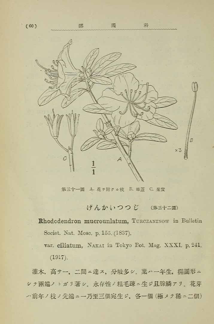 no HD illustration available (3)