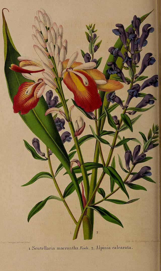 no HD illustration available (3)