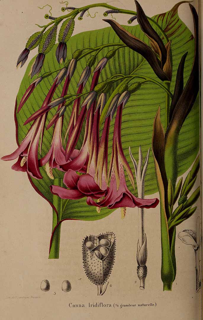 no HD illustration available (3)