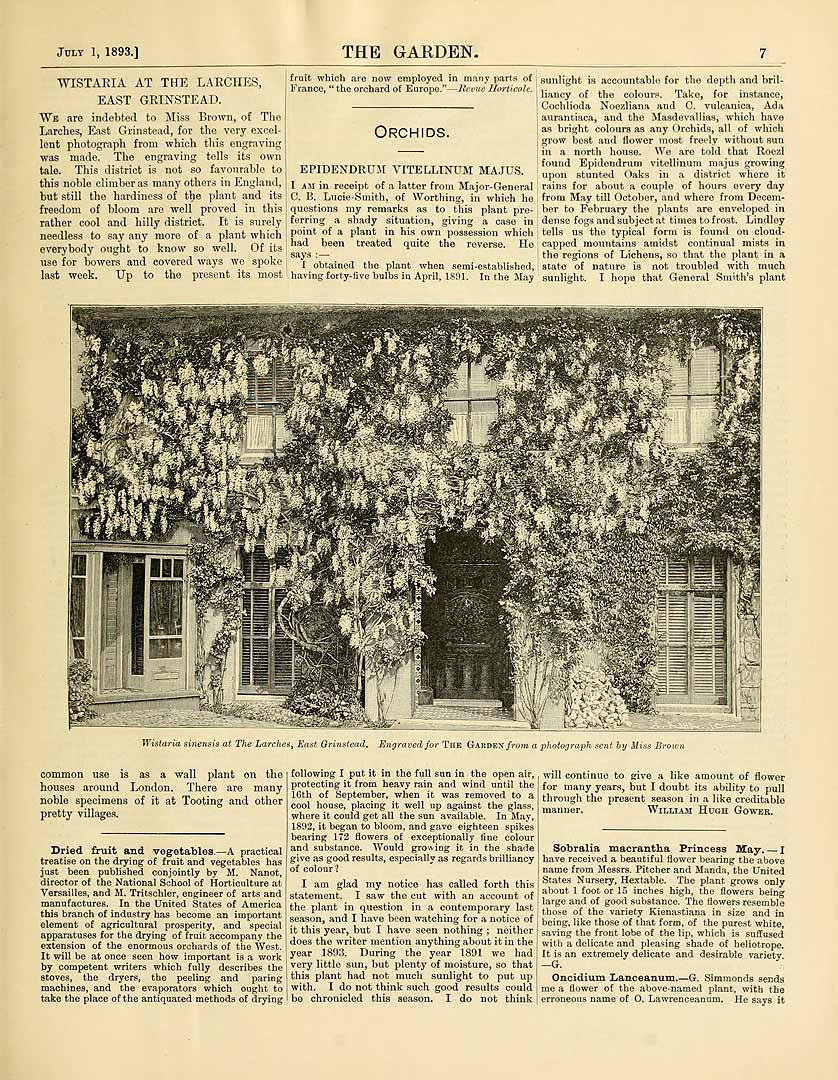 no HD illustration available (3)