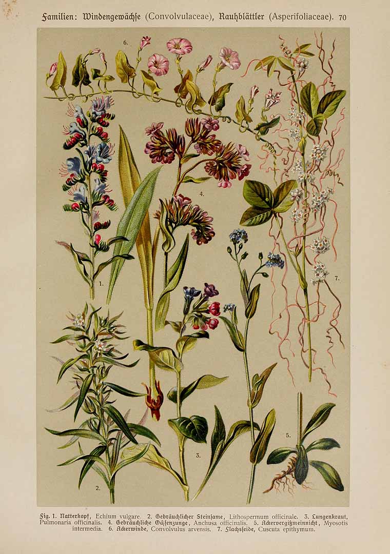 no HD illustration available (3)