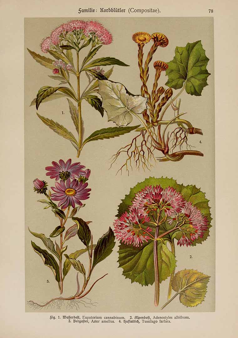 no HD illustration available (3)