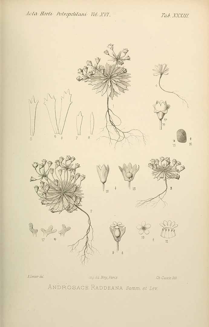 no HD illustration available (3)