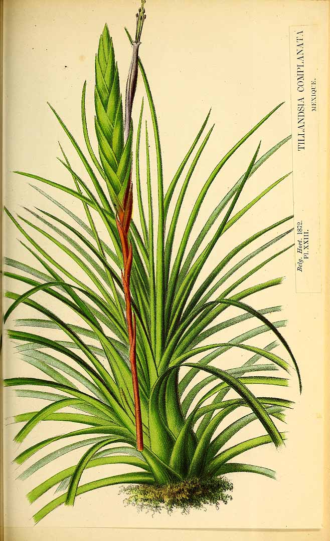 no HD illustration available (3)