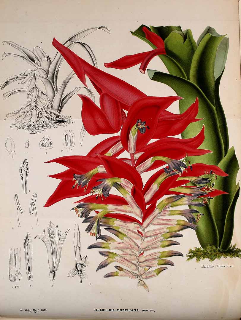 no HD illustration available (3)