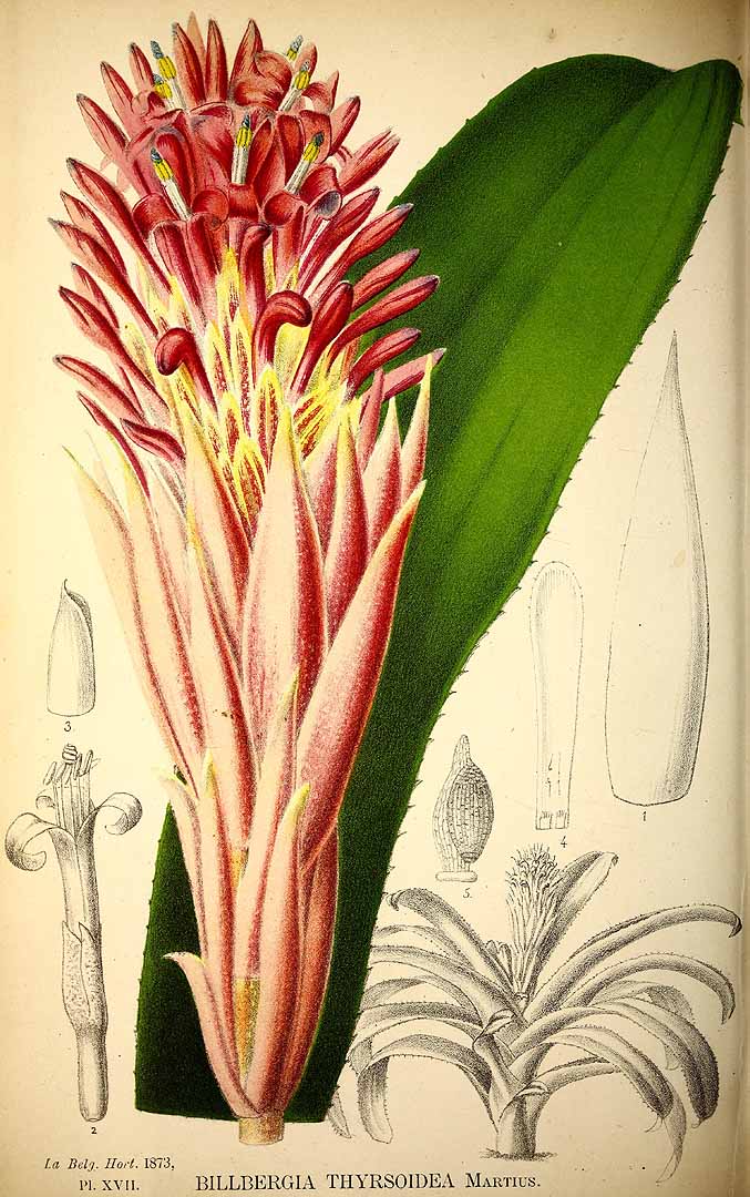 no HD illustration available (3)