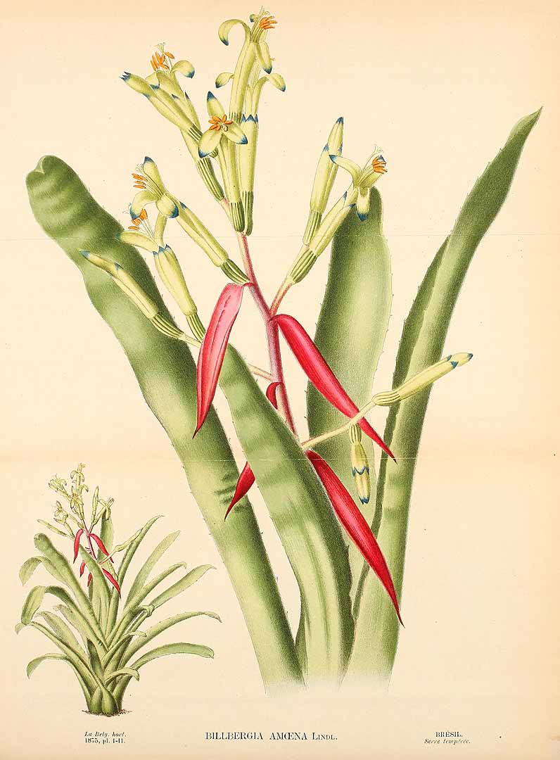 no HD illustration available (3)