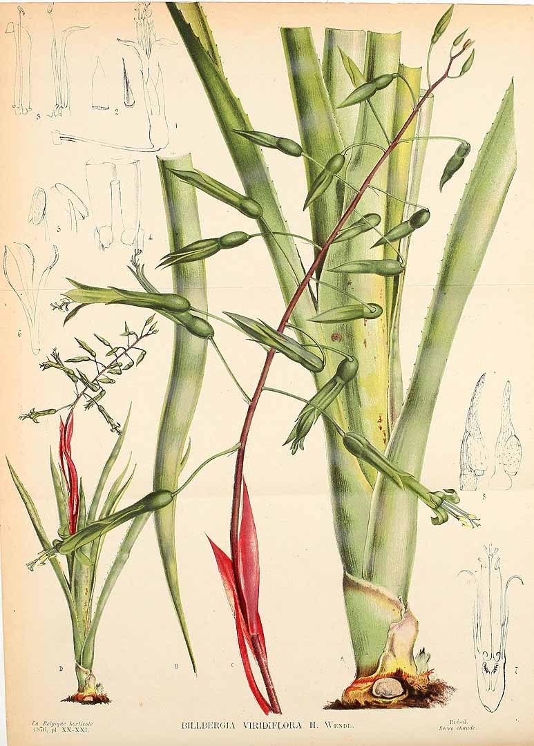 no HD illustration available (3)