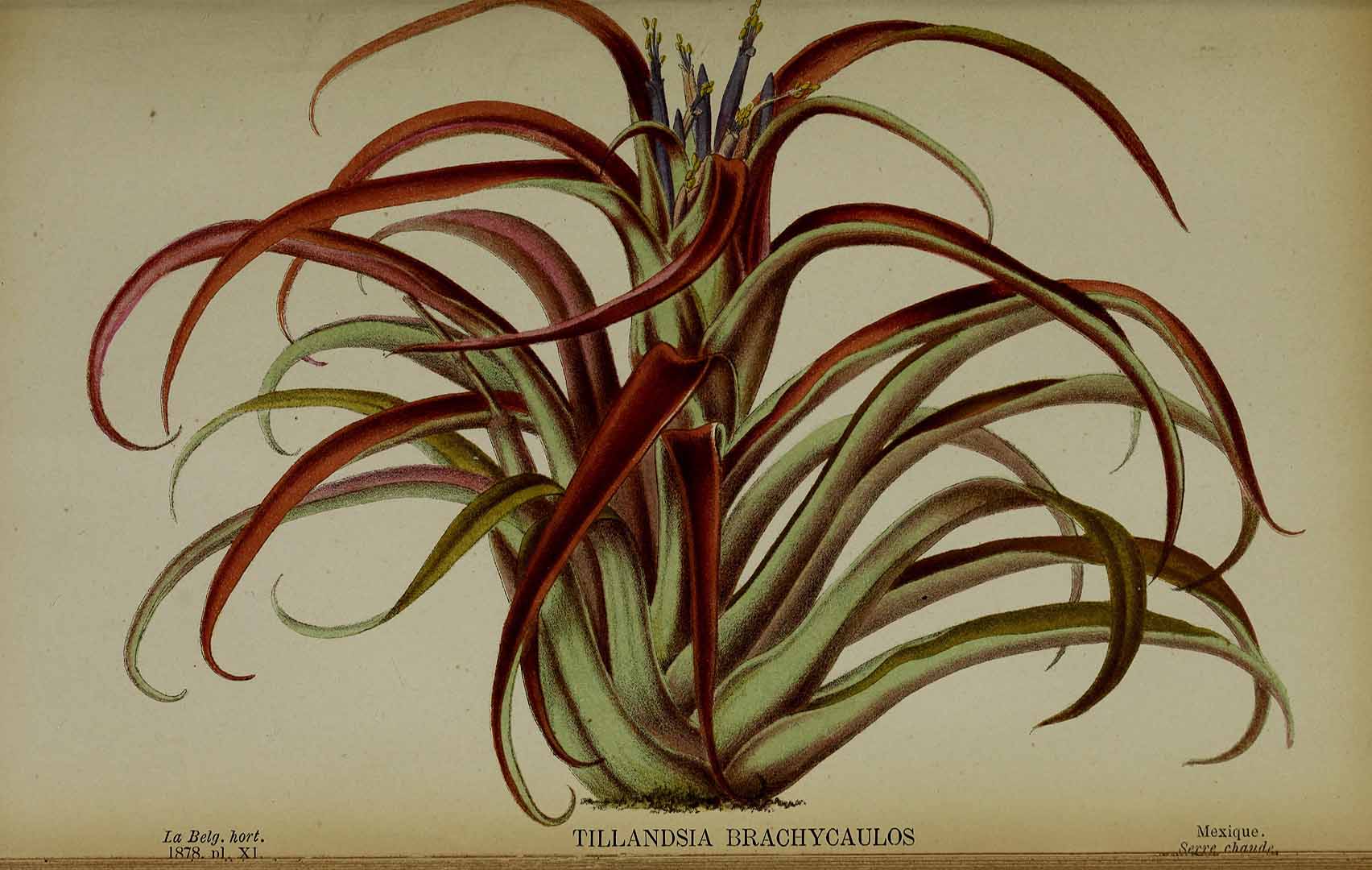 no HD illustration available (3)