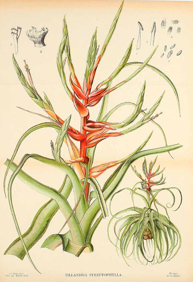 no HD illustration available (3)