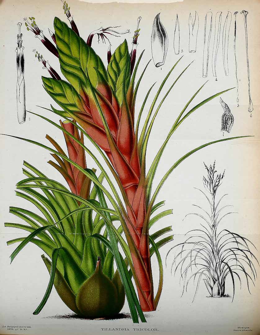 no HD illustration available (3)