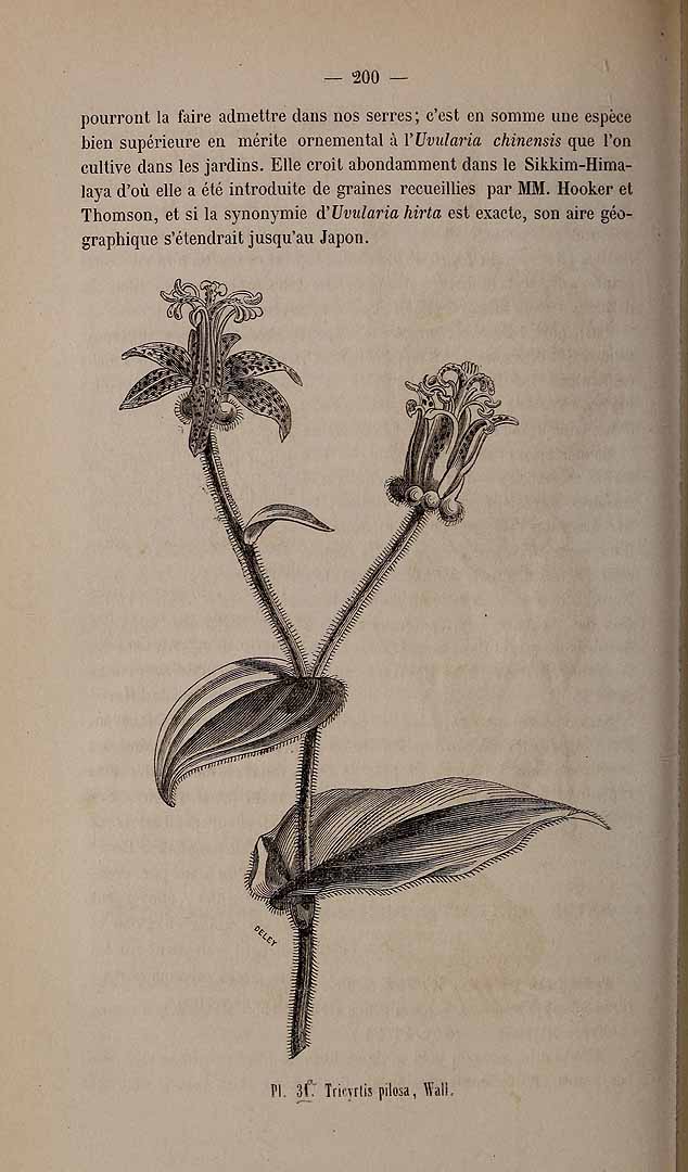 no HD illustration available (3)