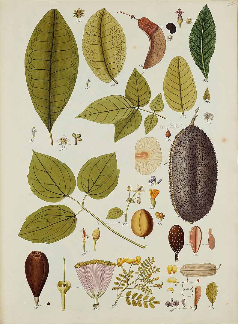 no HD illustration available (3)