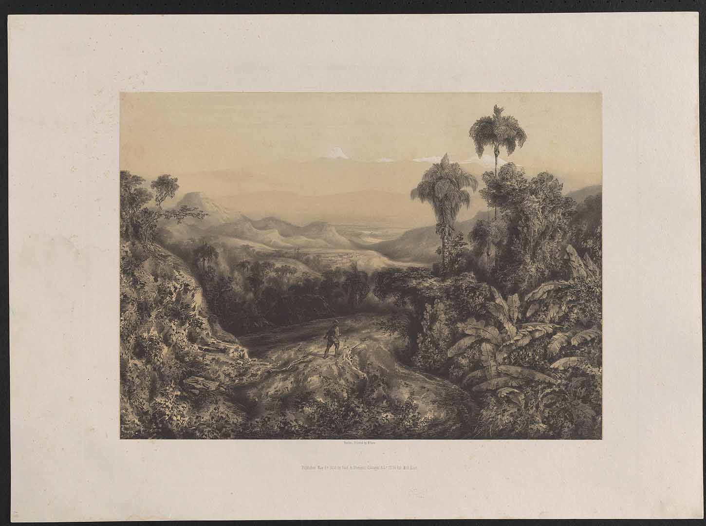 no HD illustration available (3)