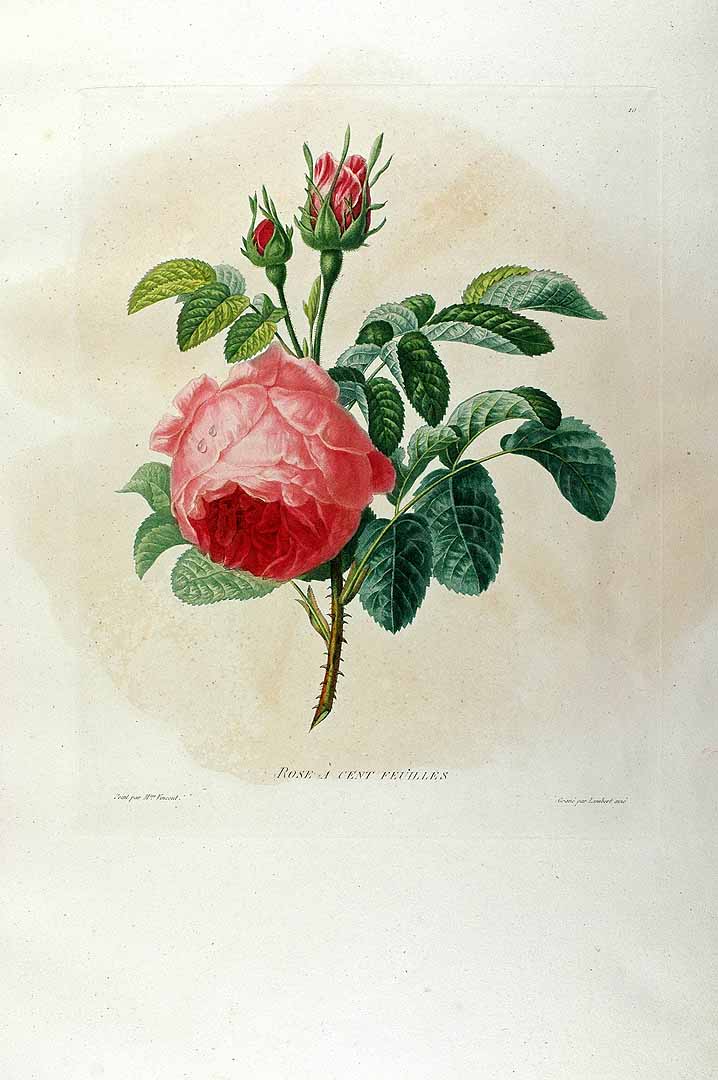 no HD illustration available (3)