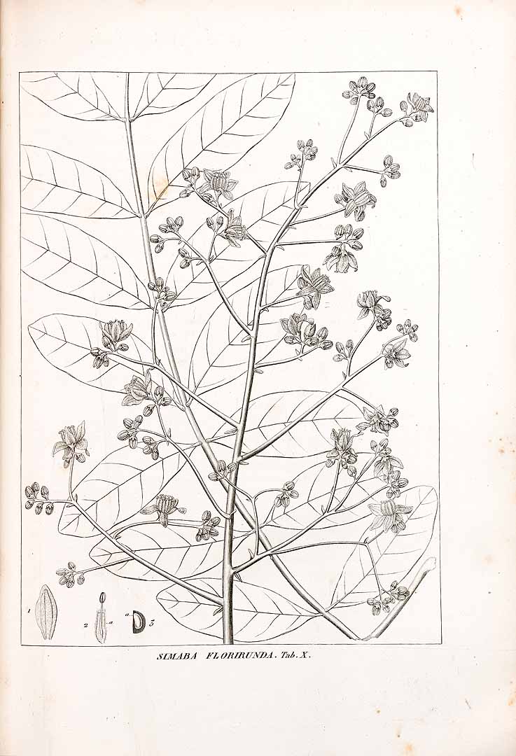 no HD illustration available (3)