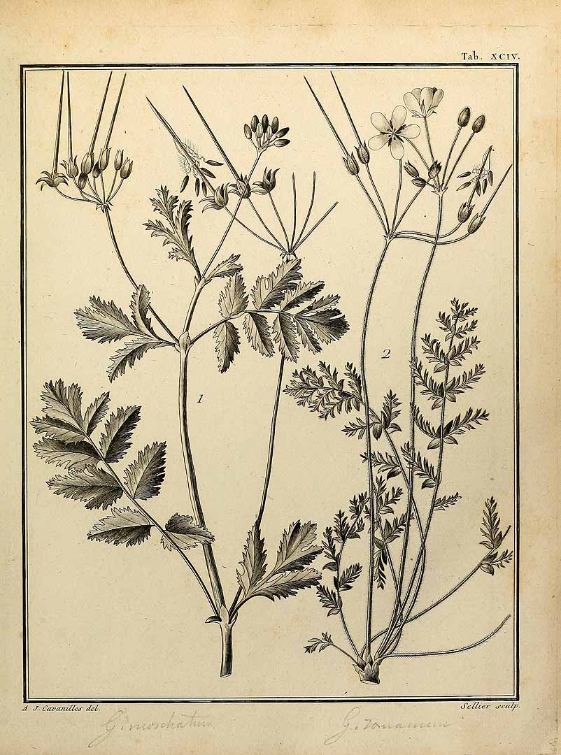 no HD illustration available (3)