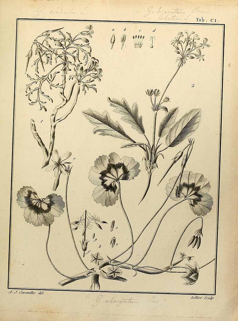 no HD illustration available (3)