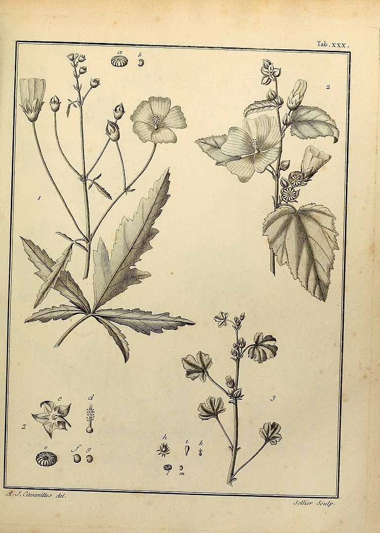 no HD illustration available (3)