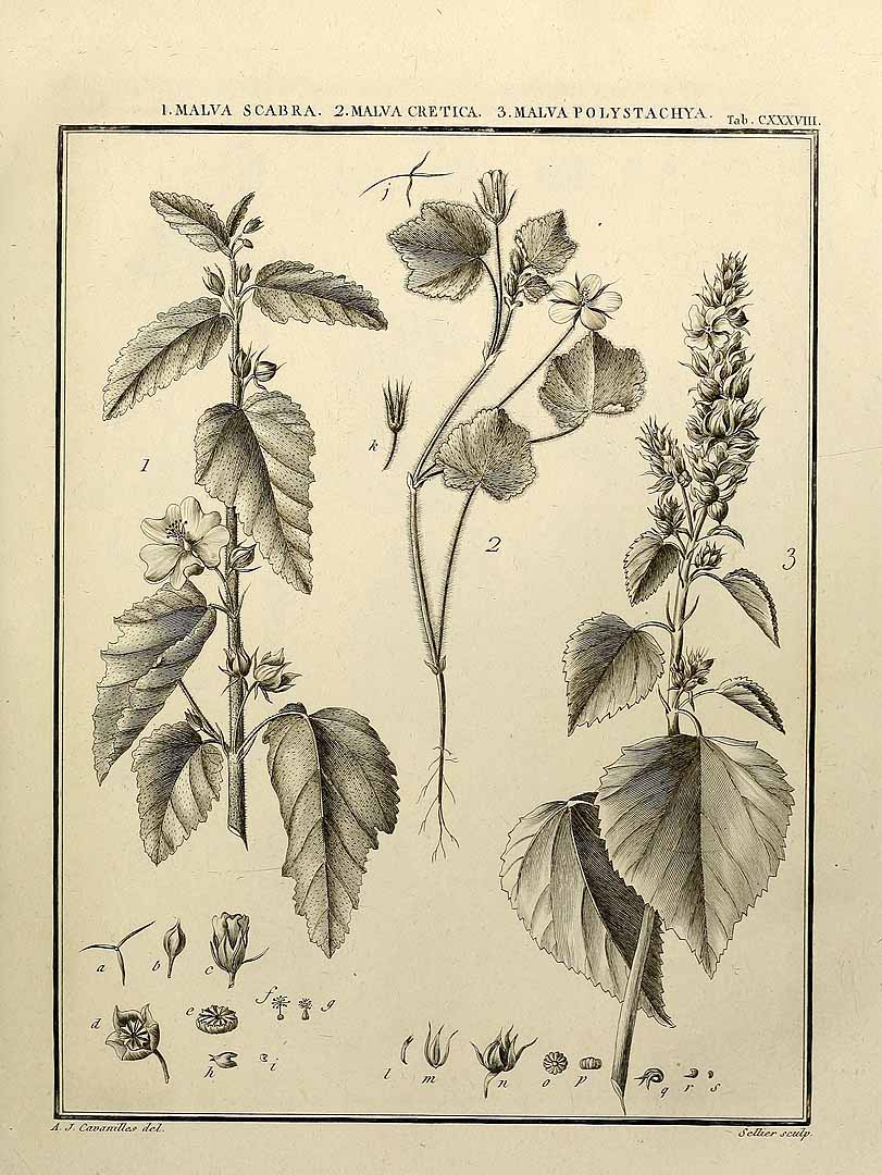 no HD illustration available (3)