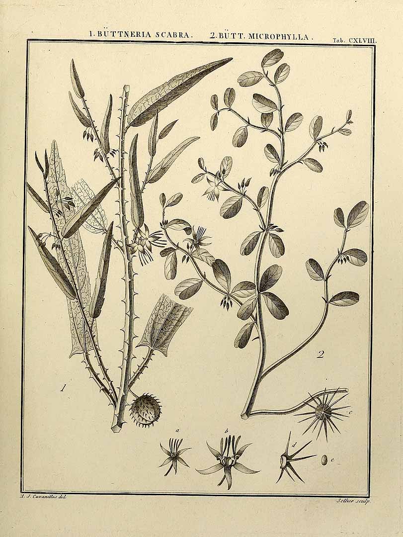 no HD illustration available (3)