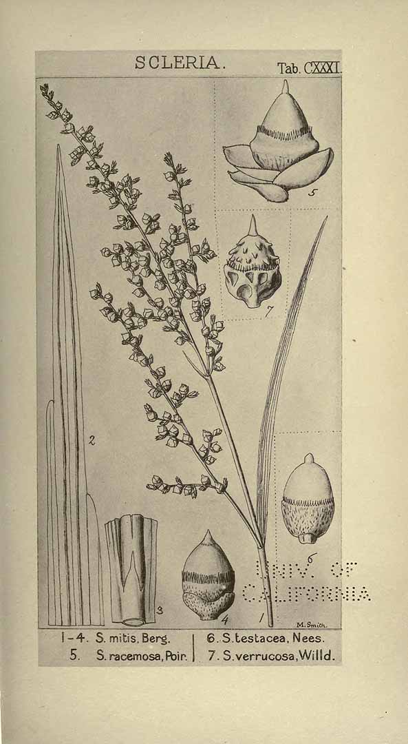 no HD illustration available (3)