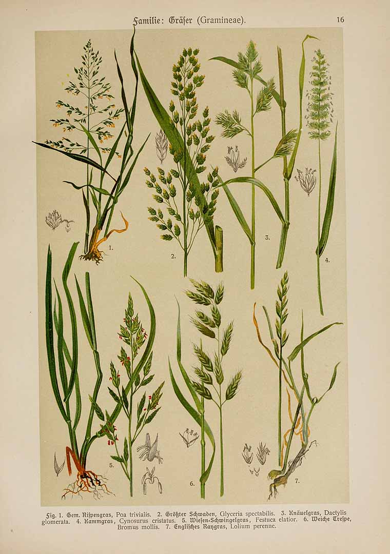 no HD illustration available (3)