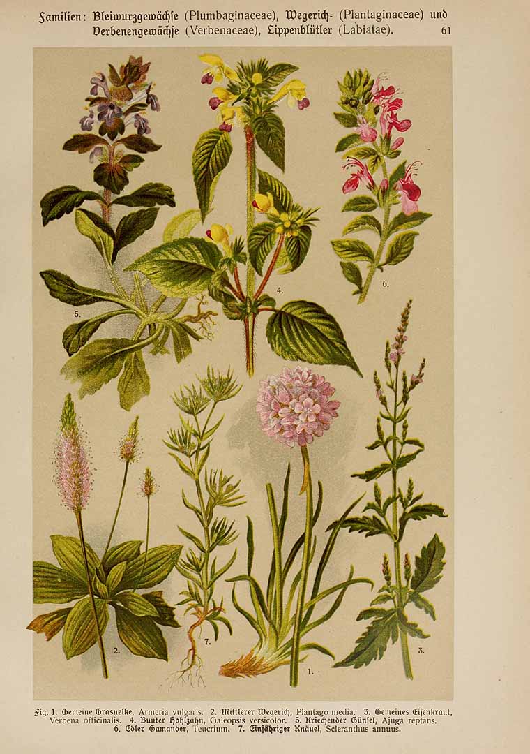 no HD illustration available (3)