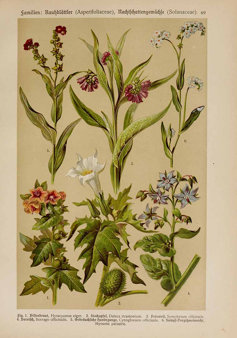 no HD illustration available (3)