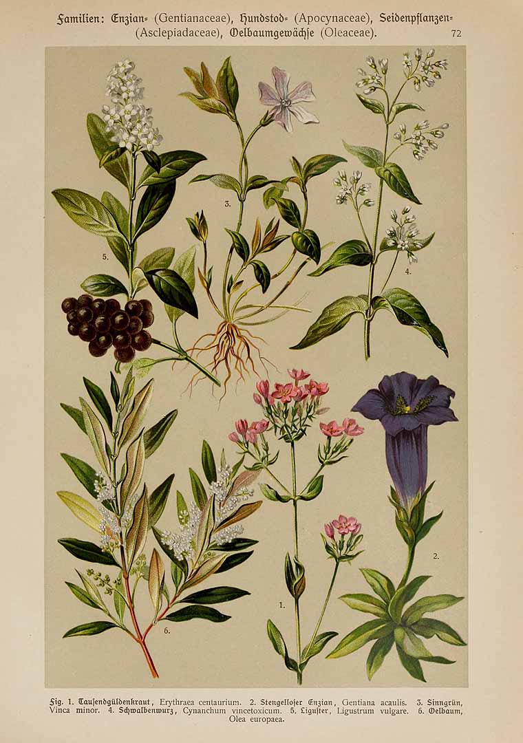 no HD illustration available (3)