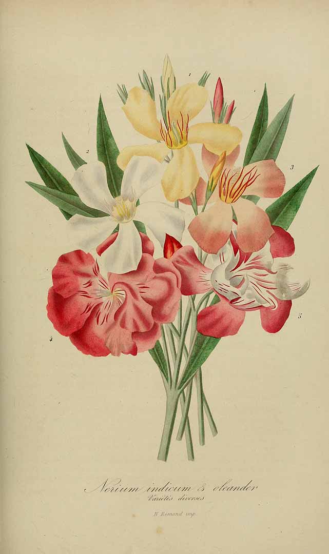 no HD illustration available (3)