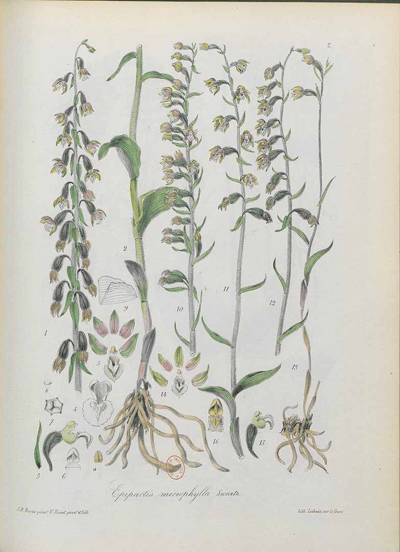 no HD illustration available (3)