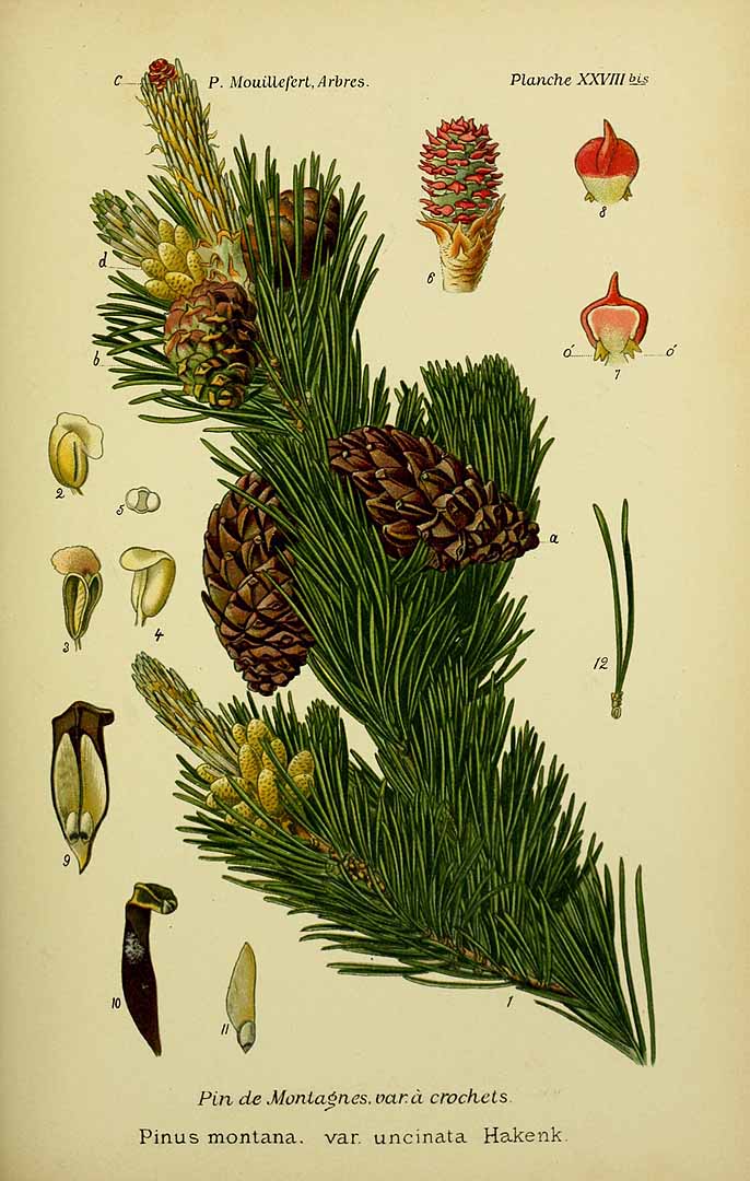 no HD illustration available (3)