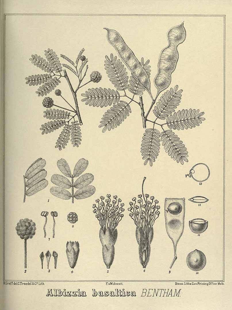 no HD illustration available (3)