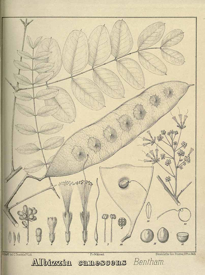 no HD illustration available (3)