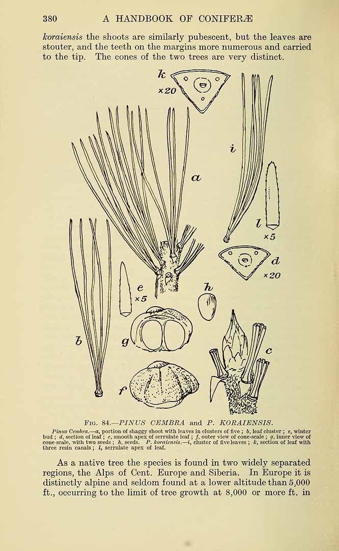 no HD illustration available (3)