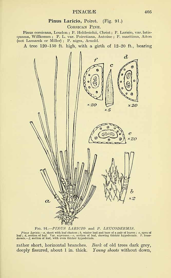 no HD illustration available (3)