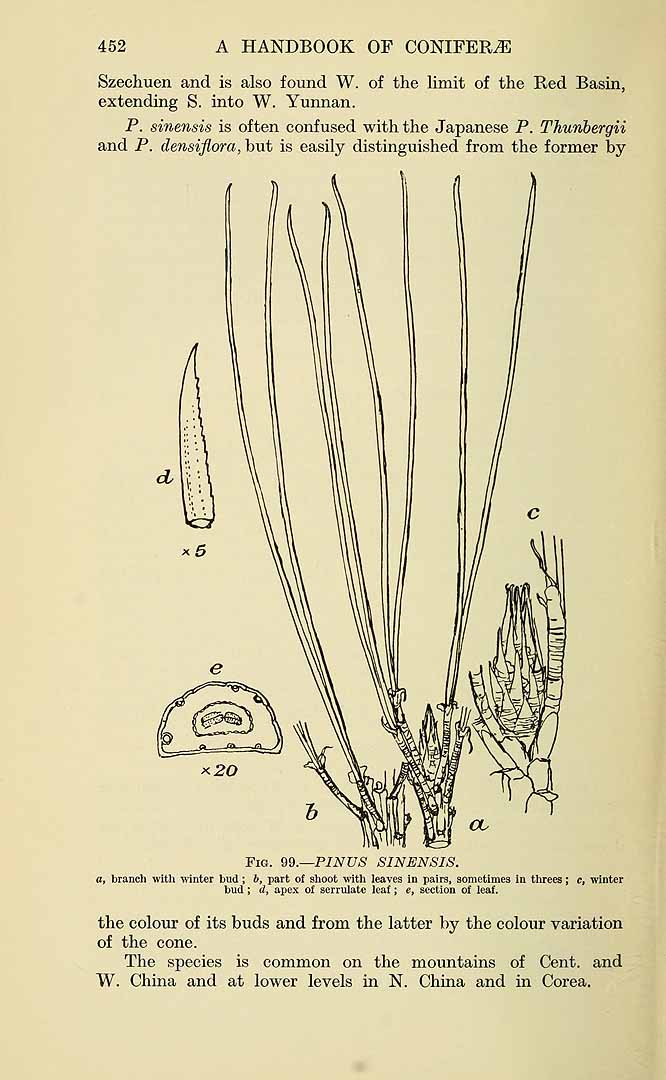 no HD illustration available (3)