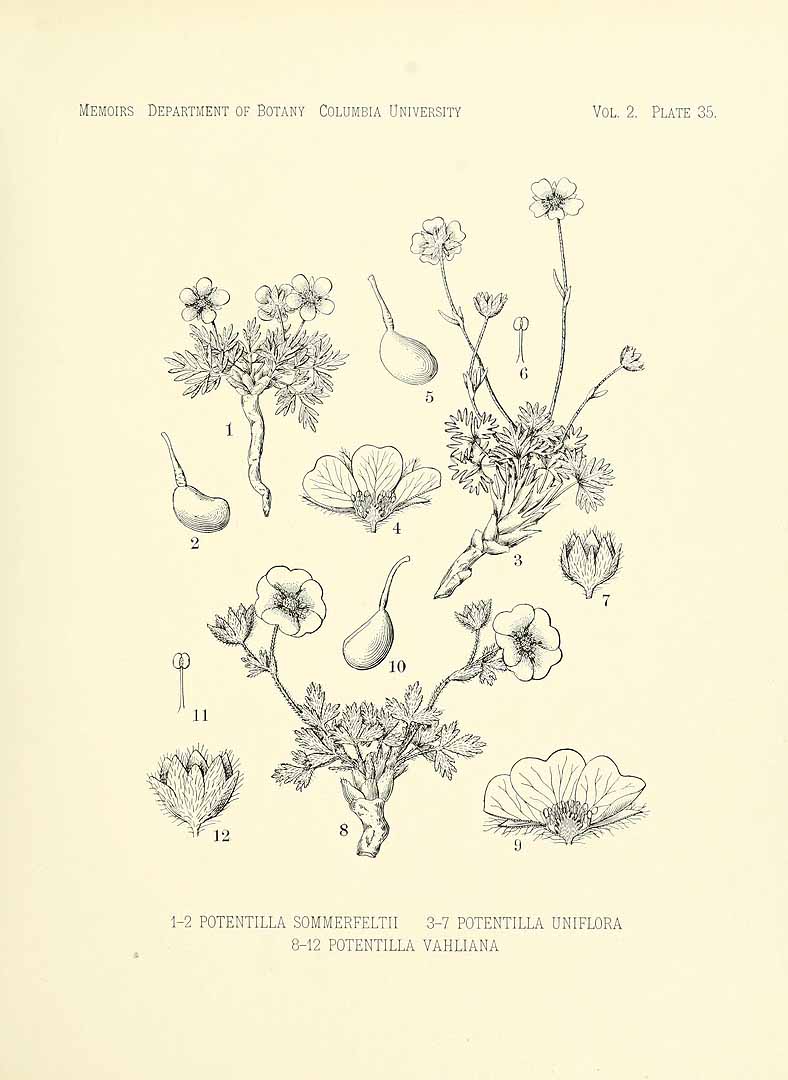 no HD illustration available (3)