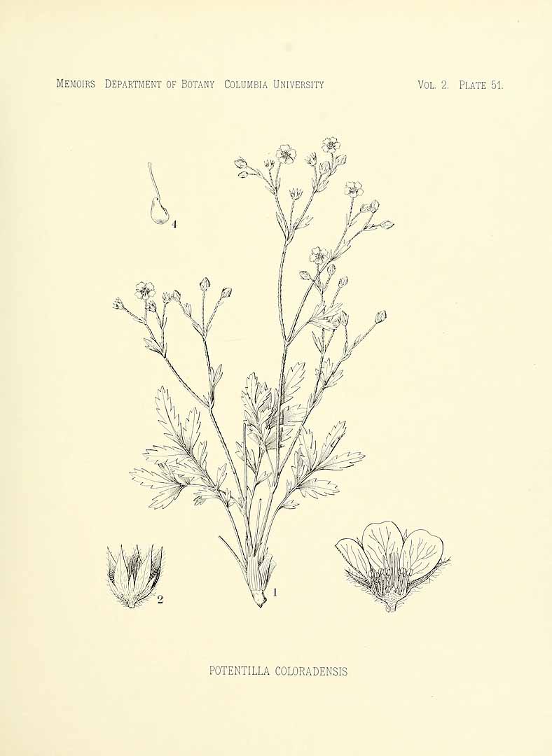 no HD illustration available (3)