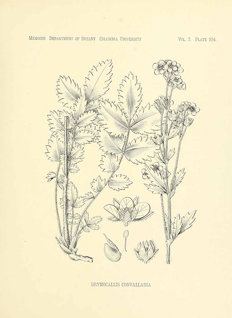 no HD illustration available (3)