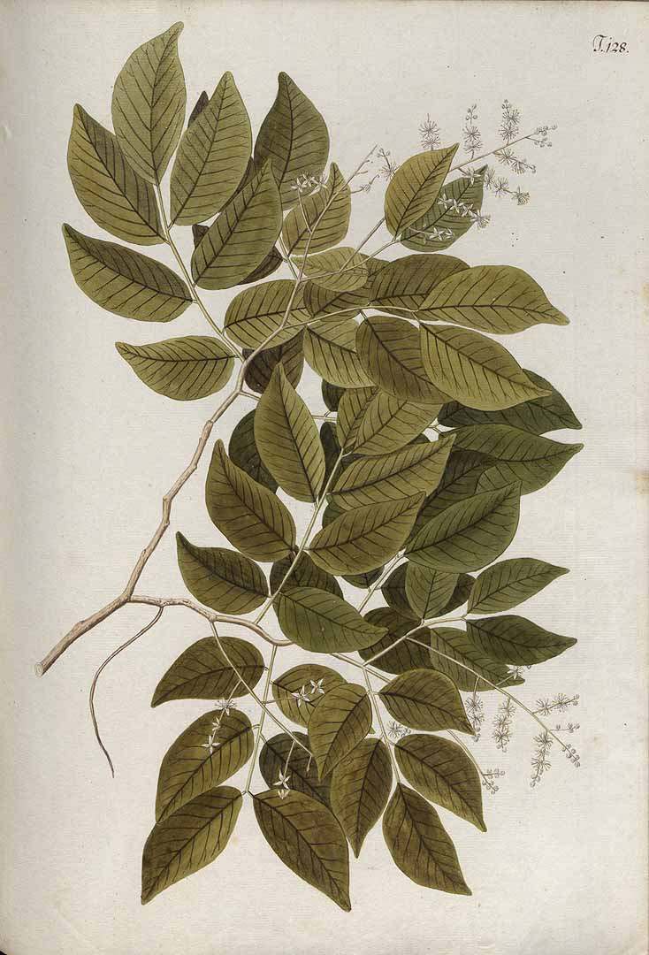 no HD illustration available (3)