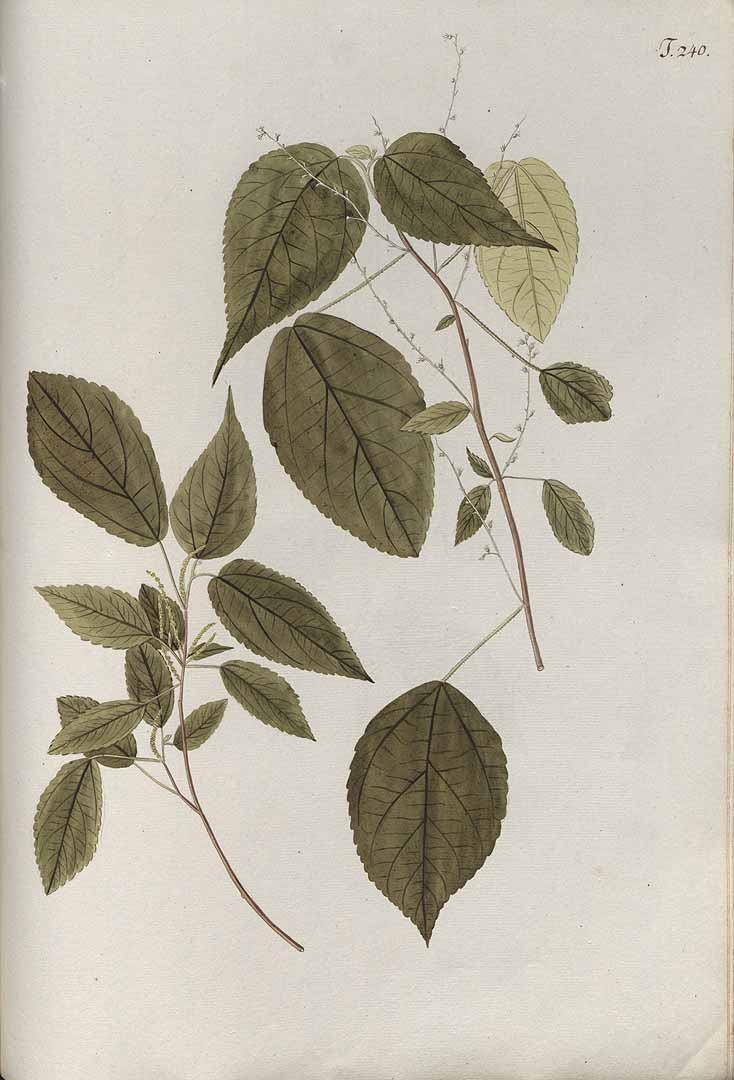 no HD illustration available (3)