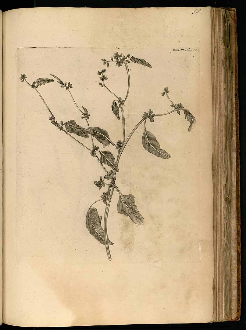 no HD illustration available (3)