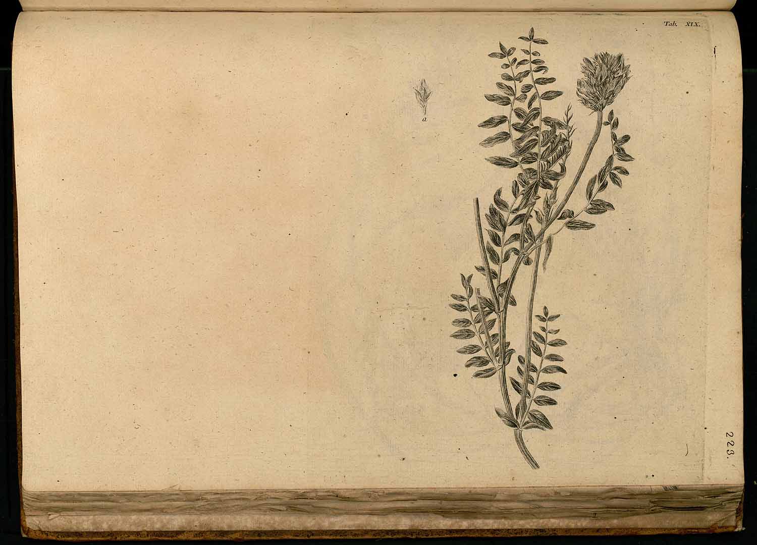 no HD illustration available (3)