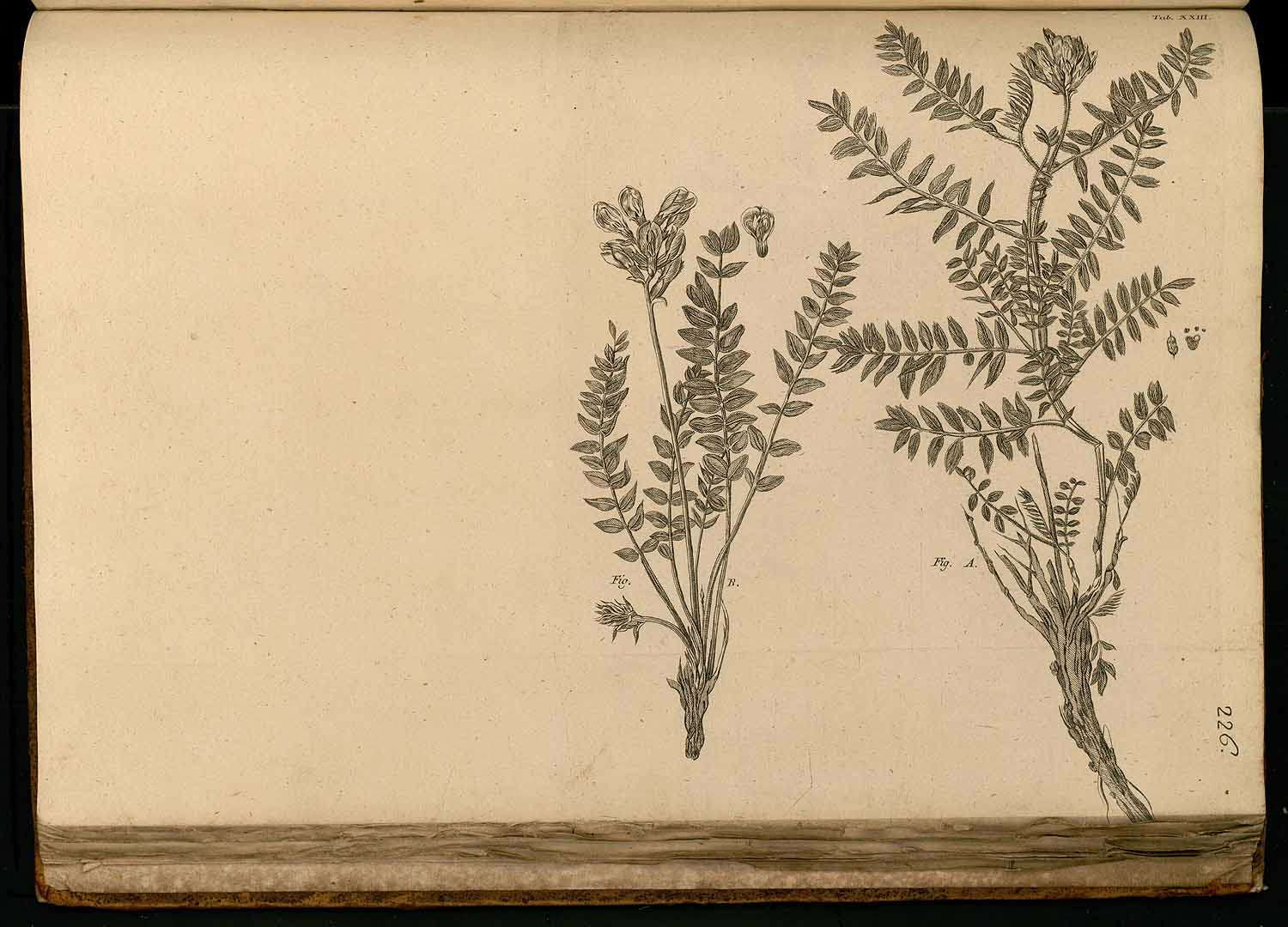 no HD illustration available (3)