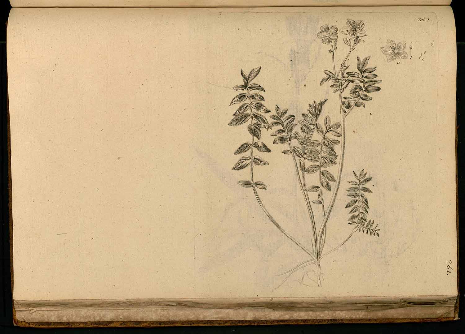 no HD illustration available (3)