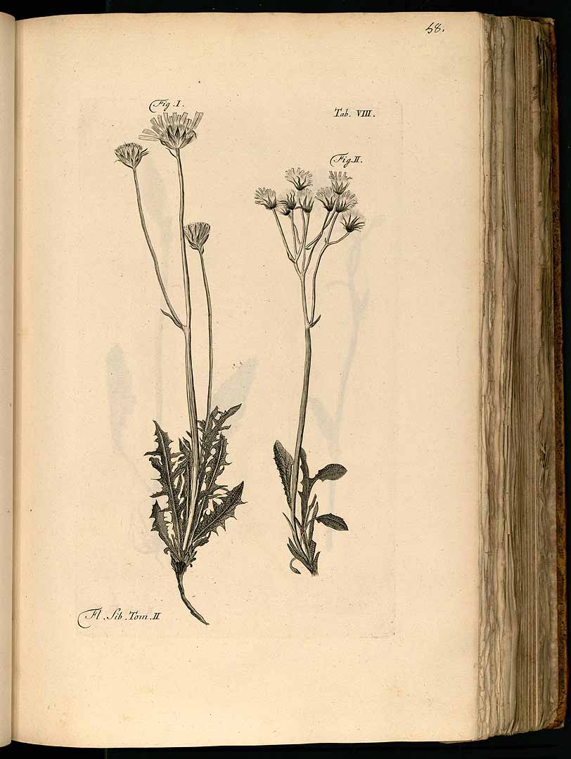 no HD illustration available (3)