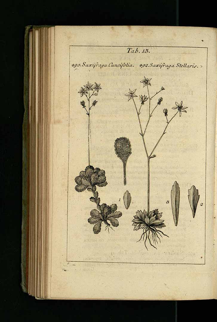 no HD illustration available (3)