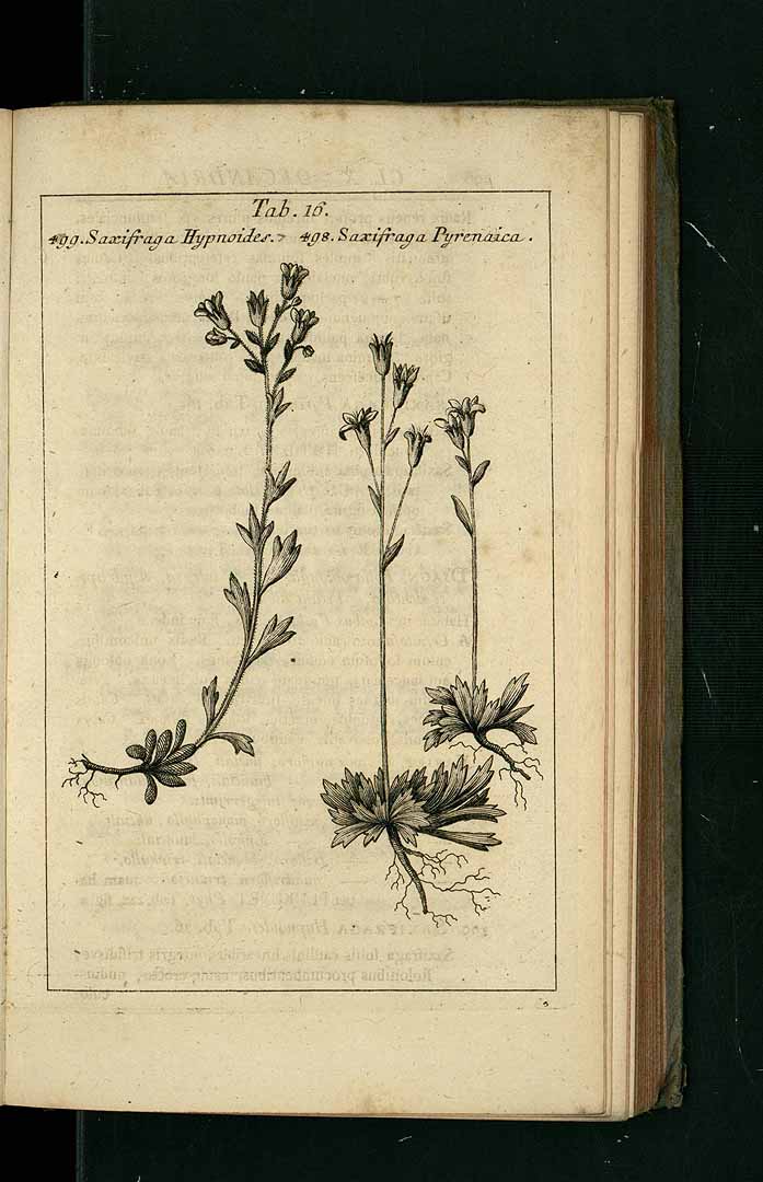 no HD illustration available (3)